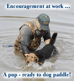 Go ahead - dog paddle!
